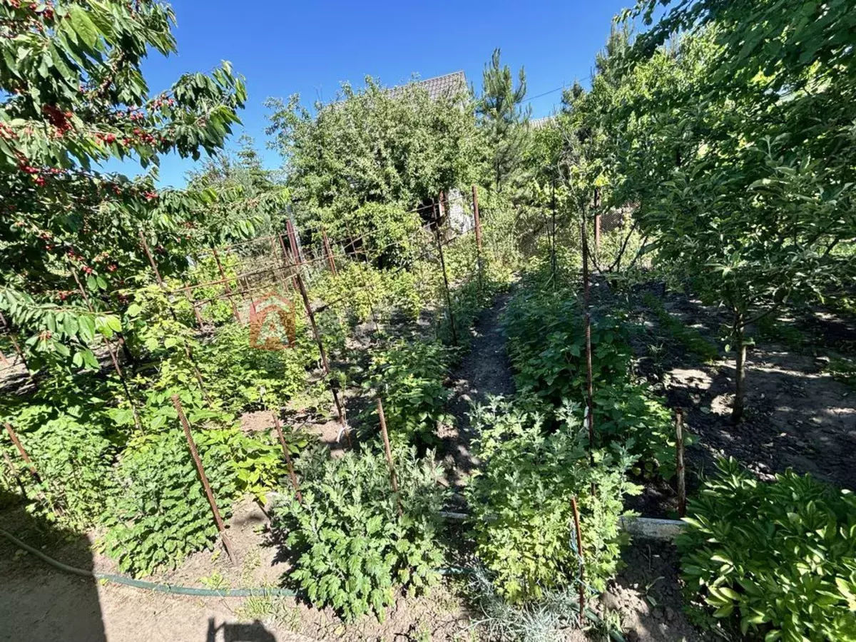 25 ��.�. ���� 2