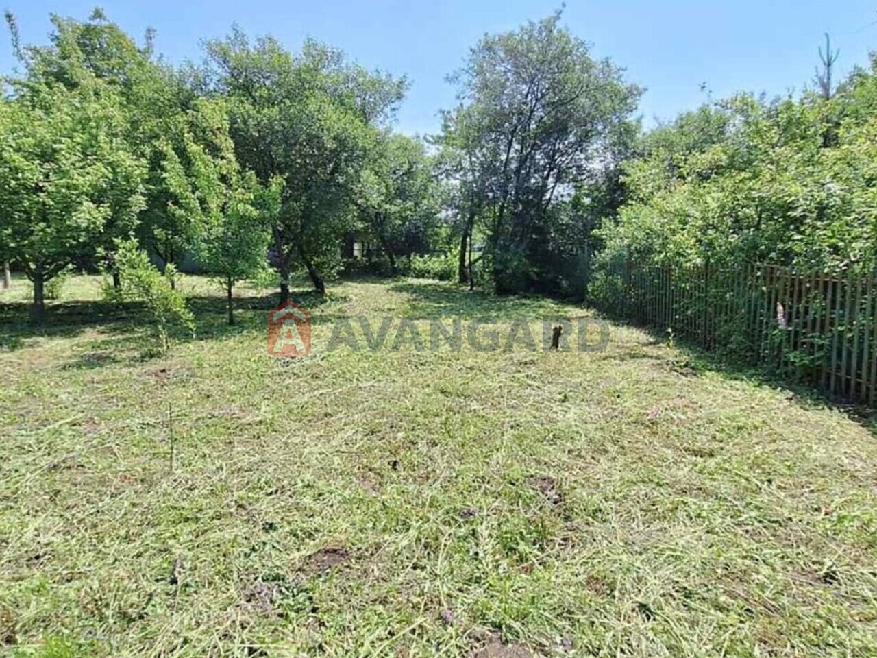 �������, 44 ��.�. ���� 17