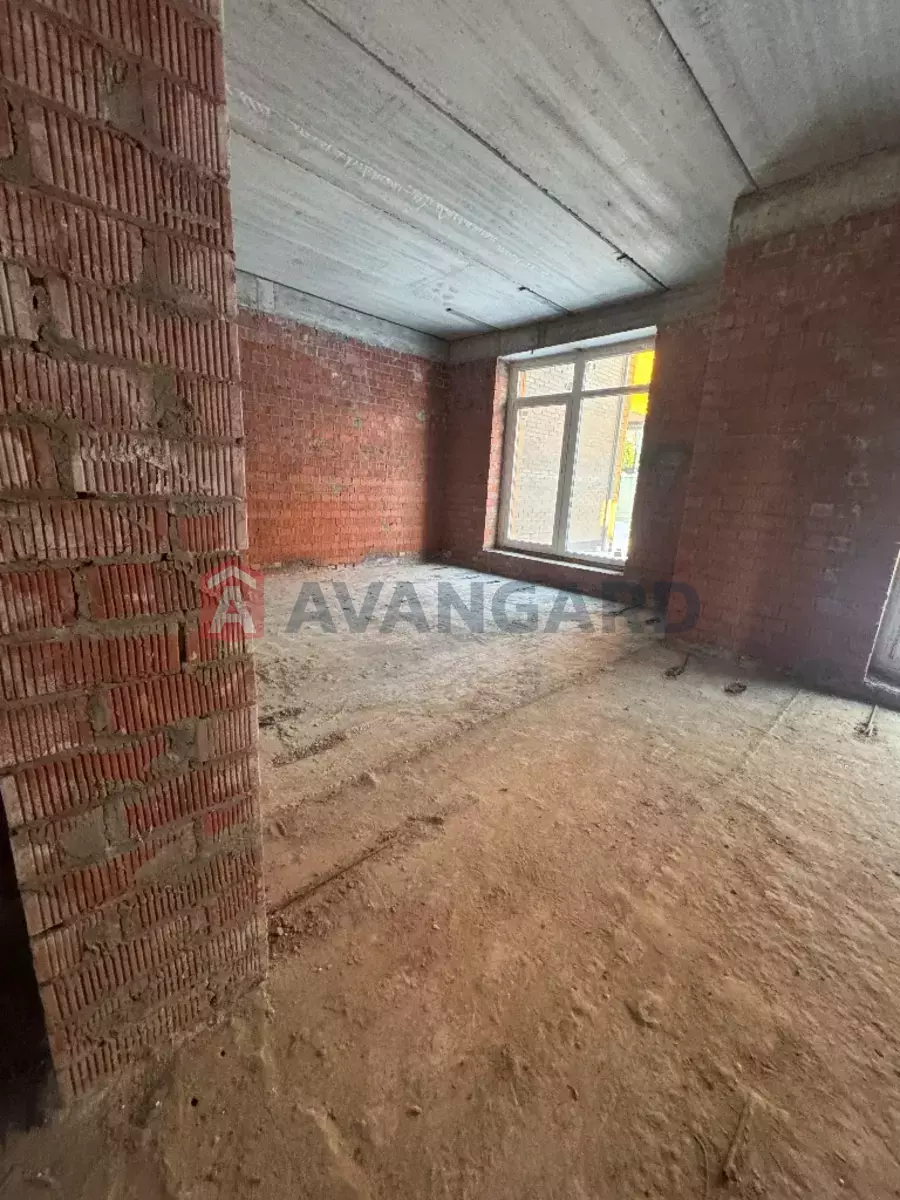 206 ��.�. ���� 5