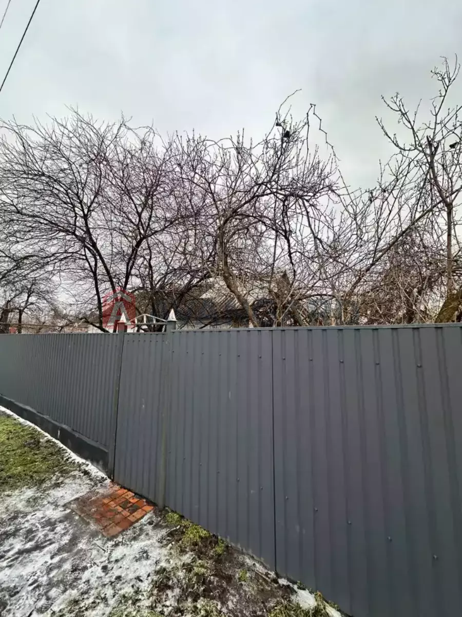 �������, 50 ��.�. ���� 6