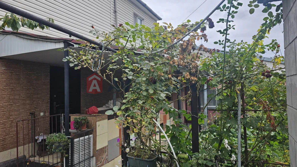 �������, 49 ��.�. ���� 1