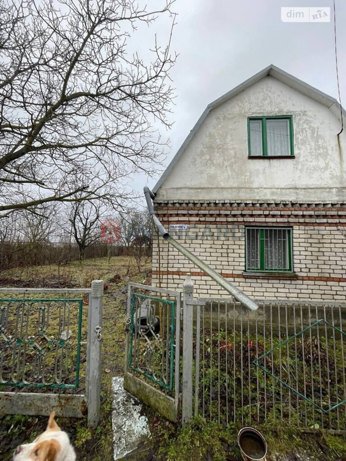 �������, 49 ��.�. ���� 1