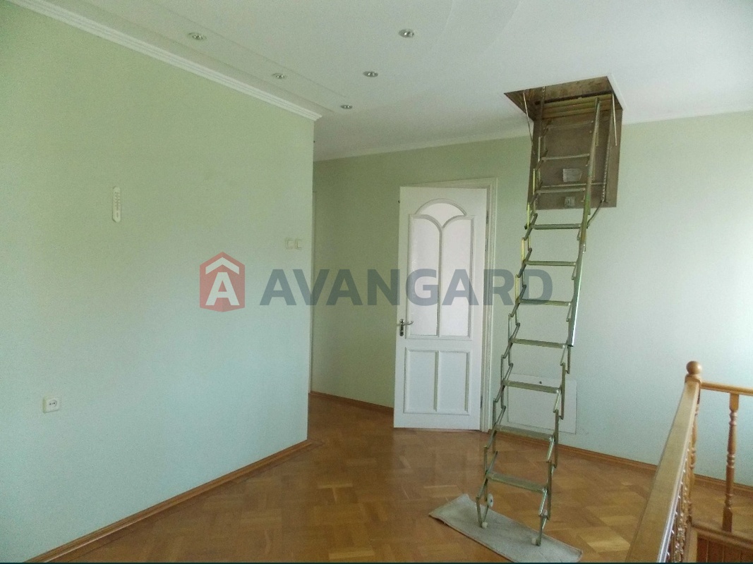 �������, 336 ��.�. ���� 12