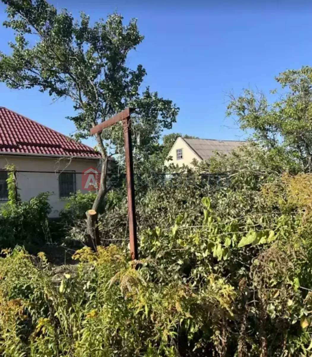 �������, 53 ��.�. ���� 2