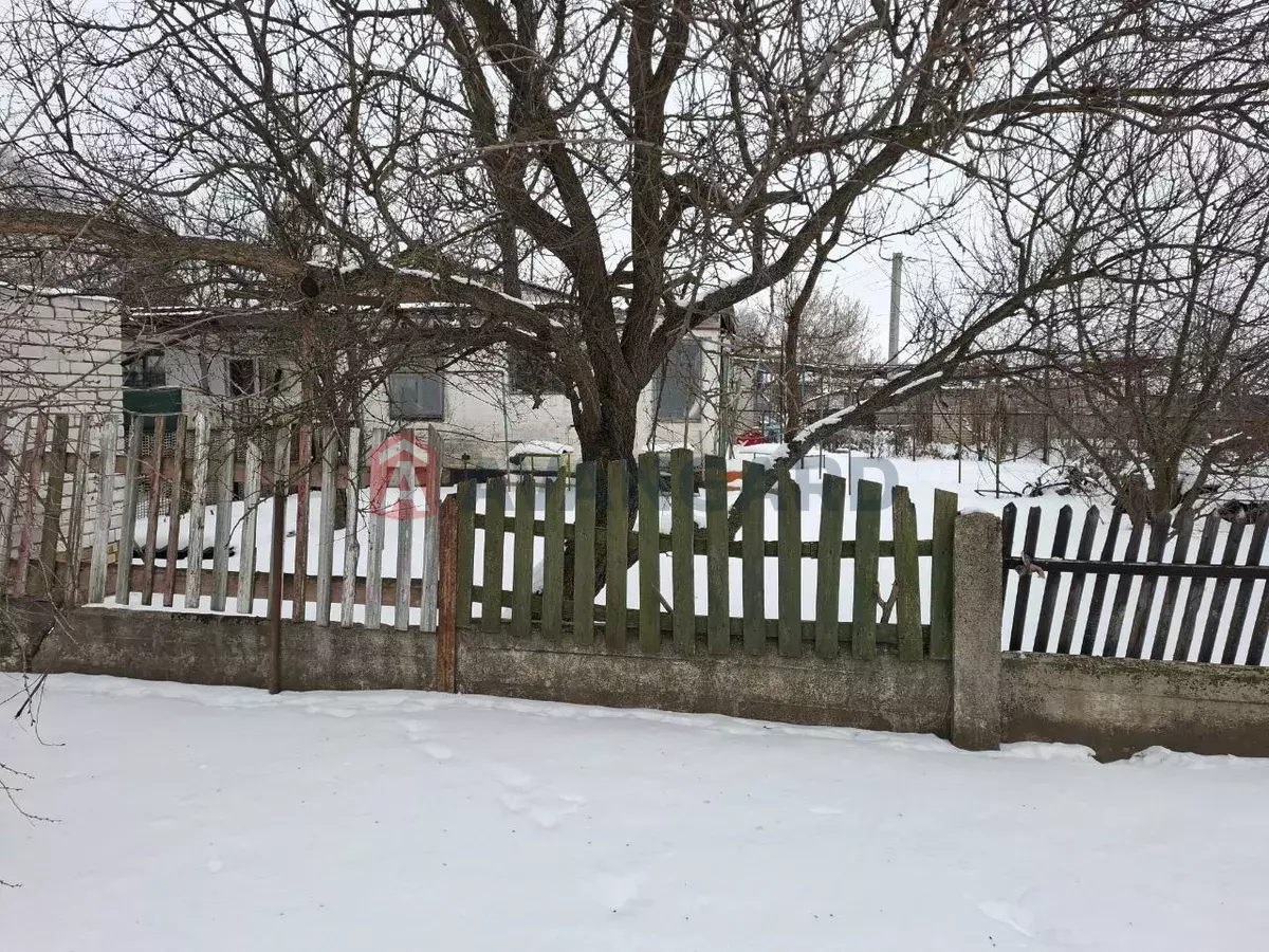 �������, 41 ��.�. ���� 11