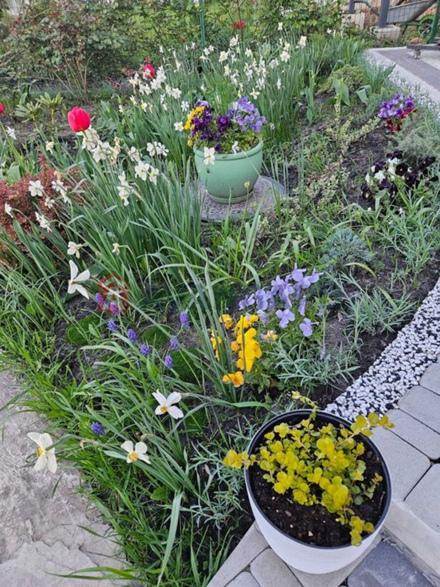 �������, 190 ��.�. ���� 21