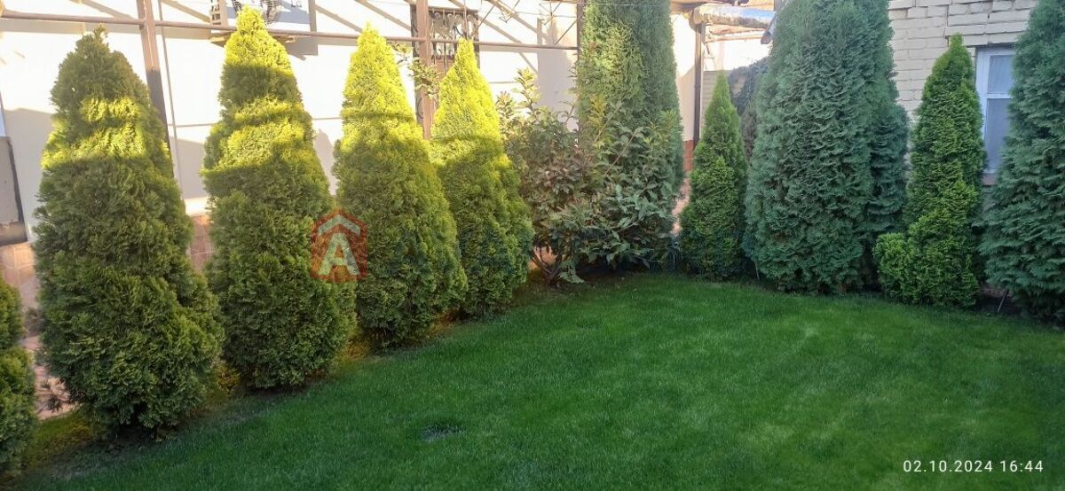 �������, 70 ��.�. ���� 5