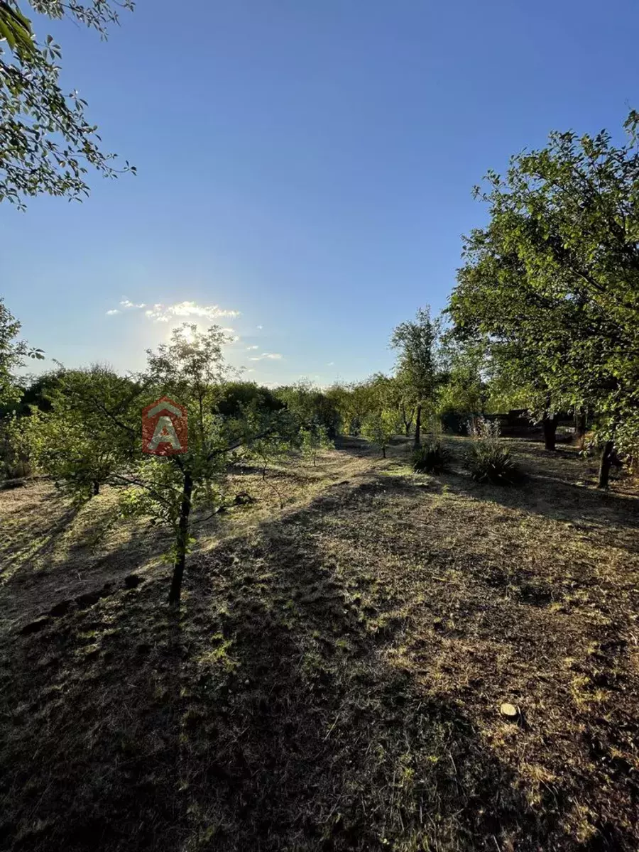 ����, 119 ��.�. ���� 7