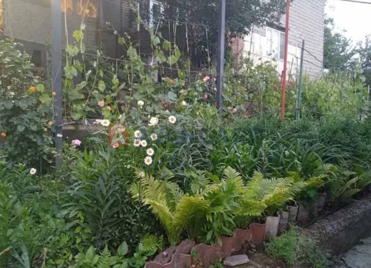 ������� �������, 38 ��.�. ���� 18