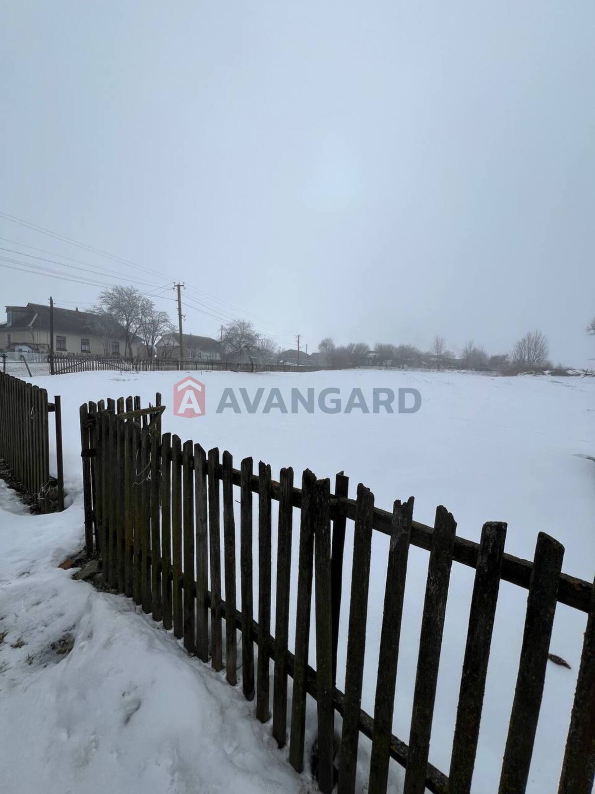 �������, 80 ��.�. ���� 1