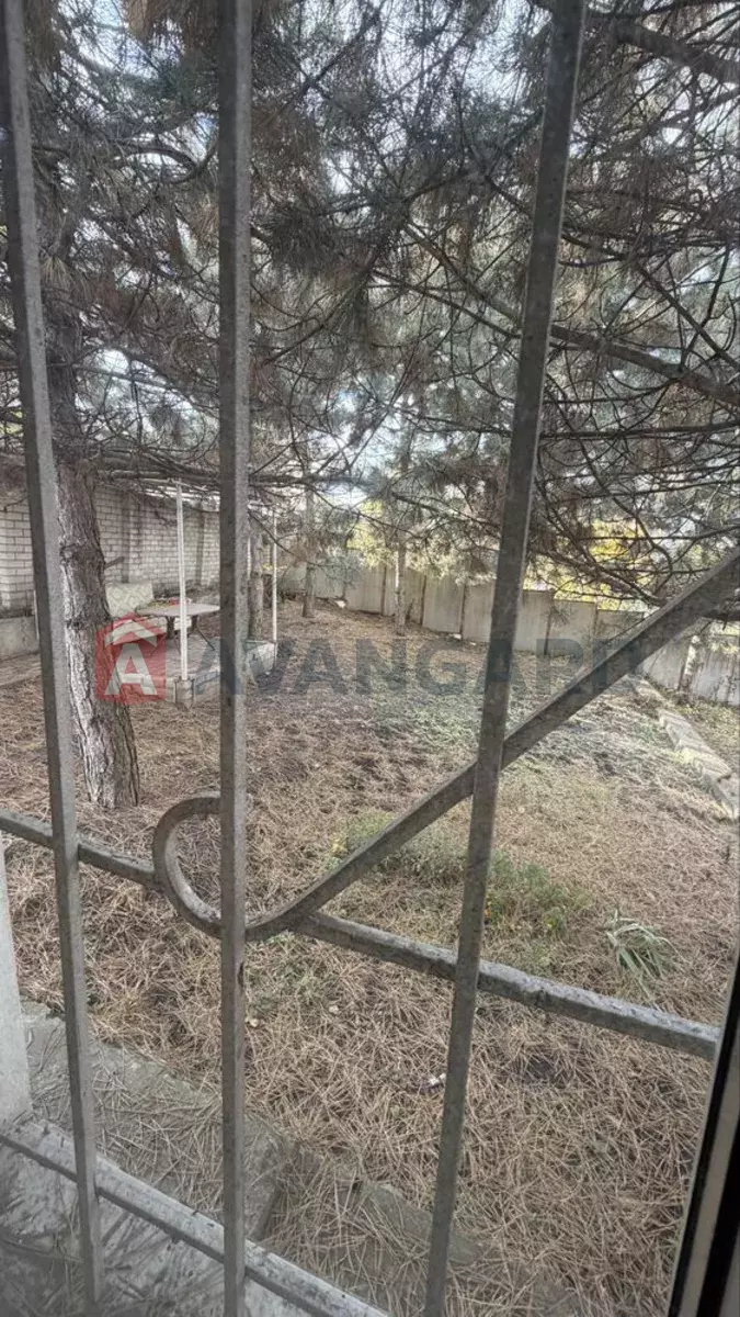 �������, 200 ��.�. ���� 17