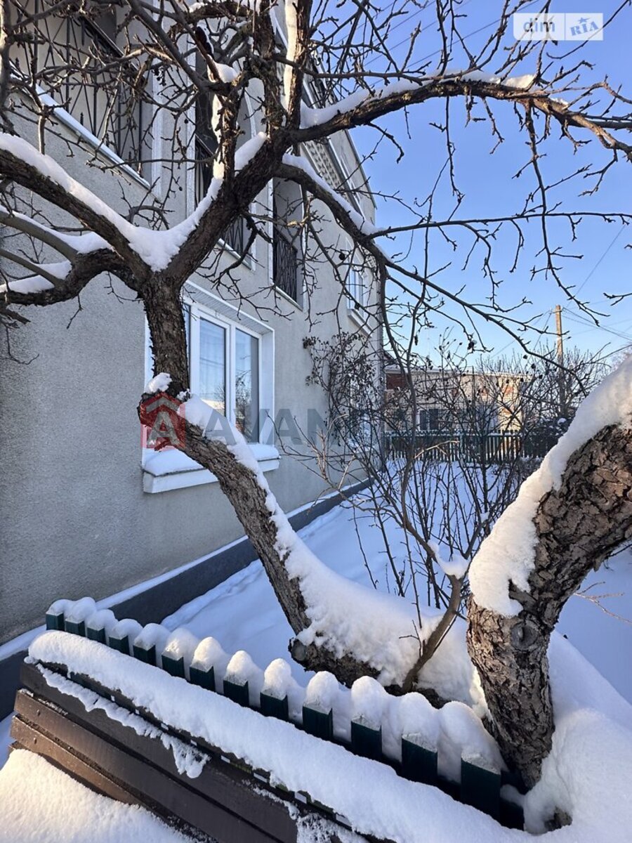 �������, 161 ��.�. ���� 5