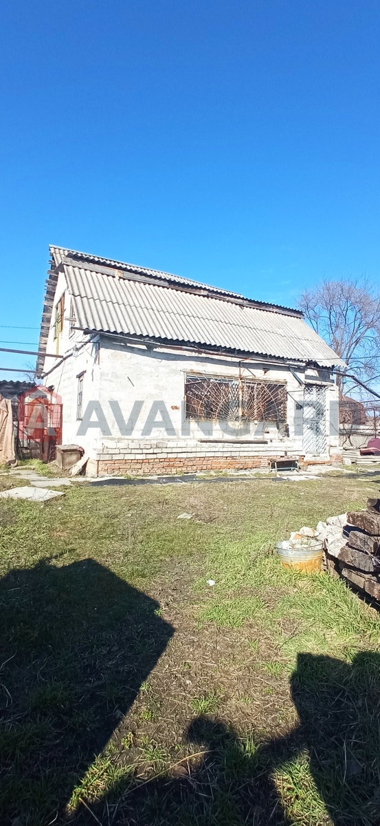 ����, 50 ��.�. ���� 15