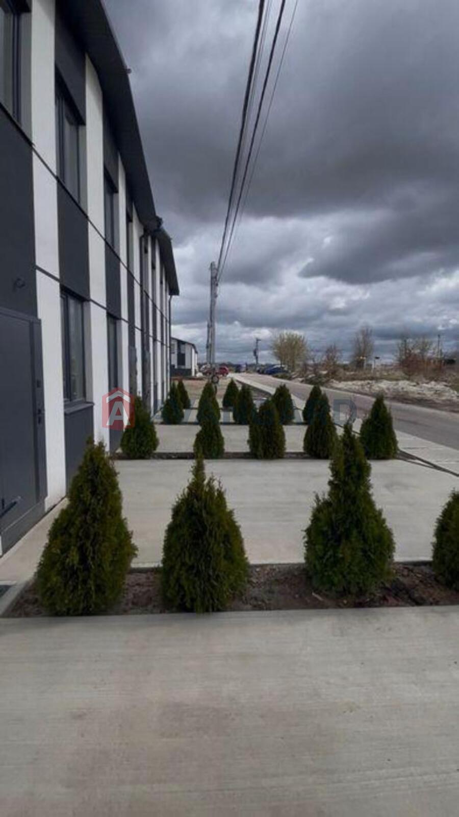 ��������, 48 ��.�. ���� 3