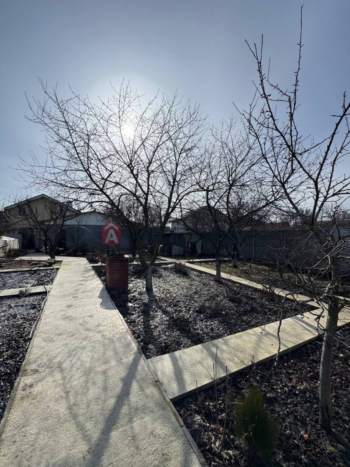 �������, 237 ��.�. ���� 4