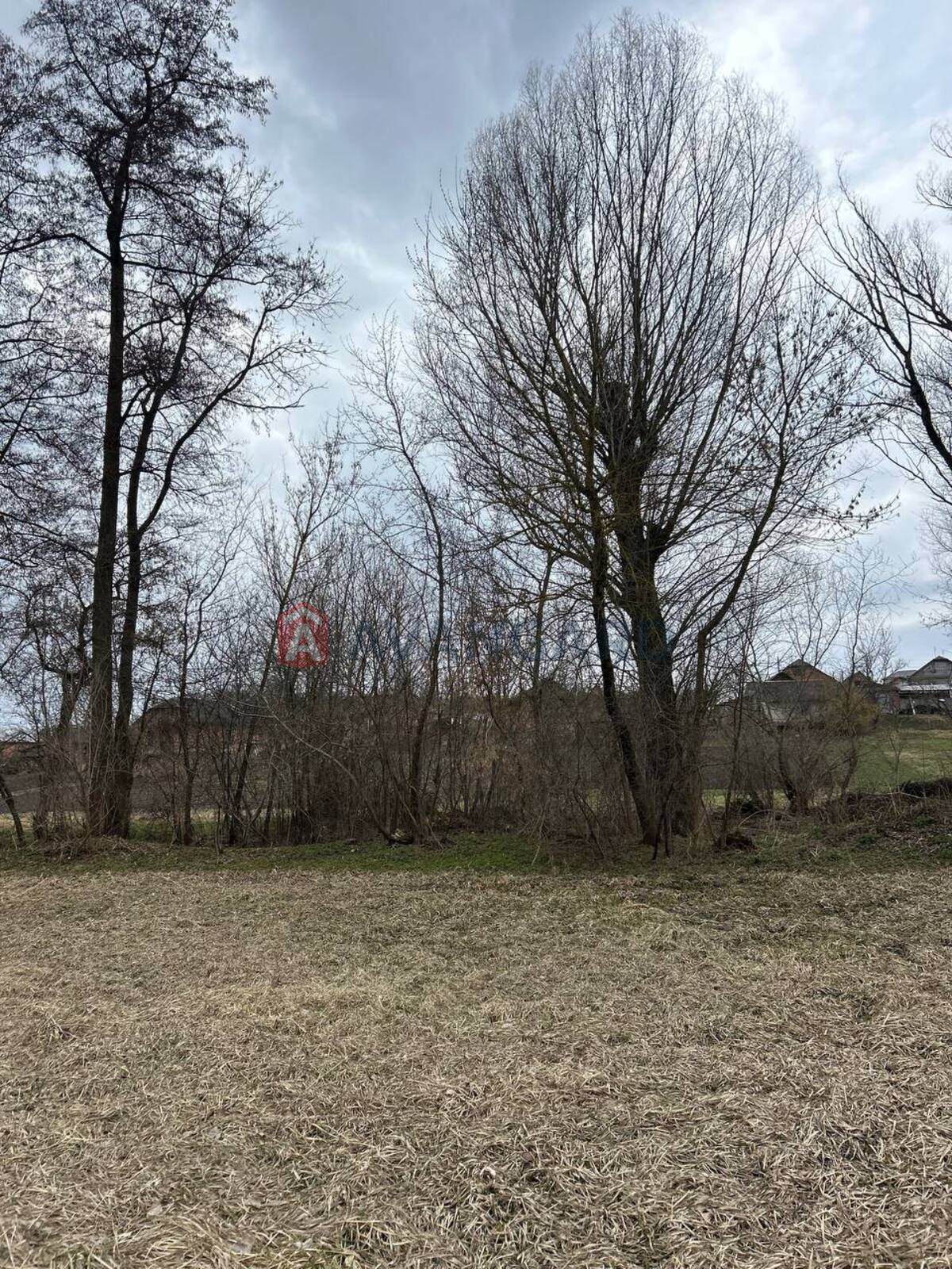 �������, 45 ��.�. ���� 5