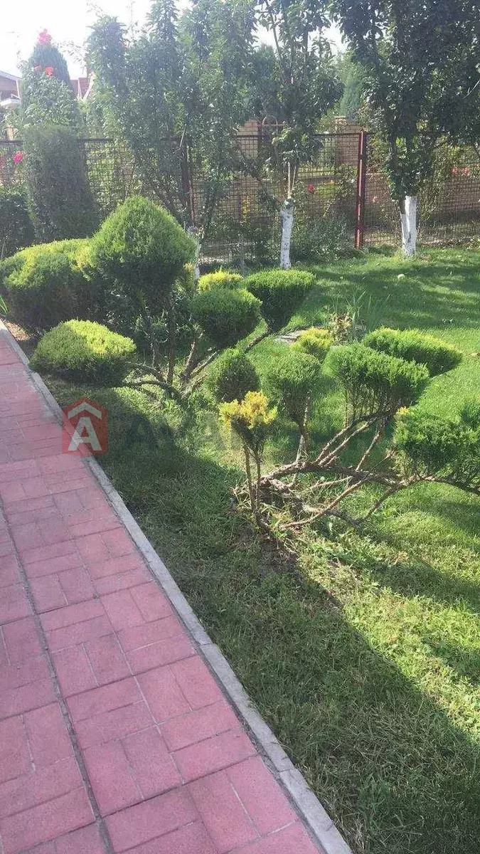 ����, 80 ��.�. ���� 15