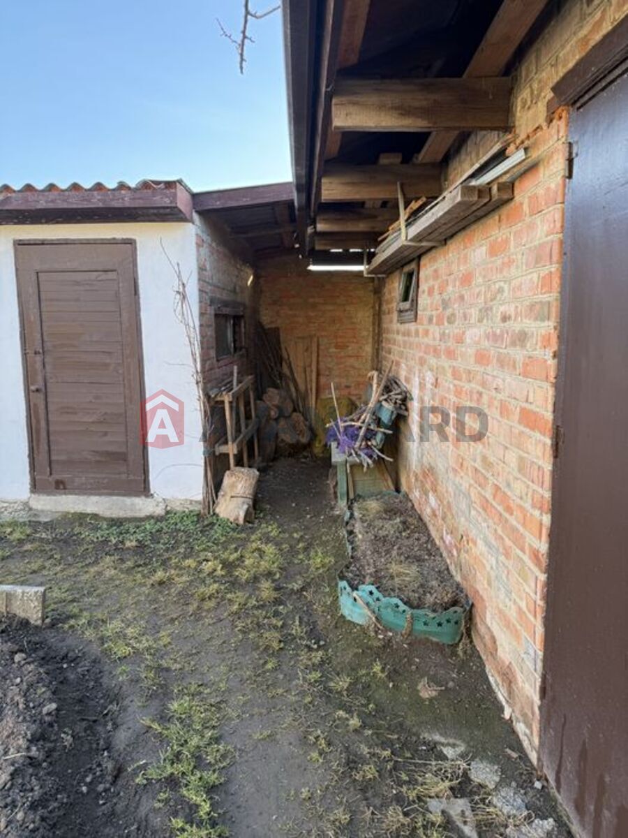 ������� �������, 50 ��.�. ���� 7