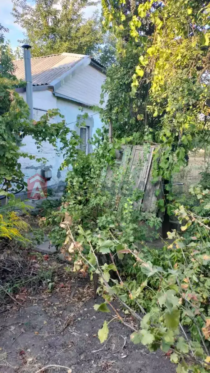 �������, 55 ��.�. ���� 12