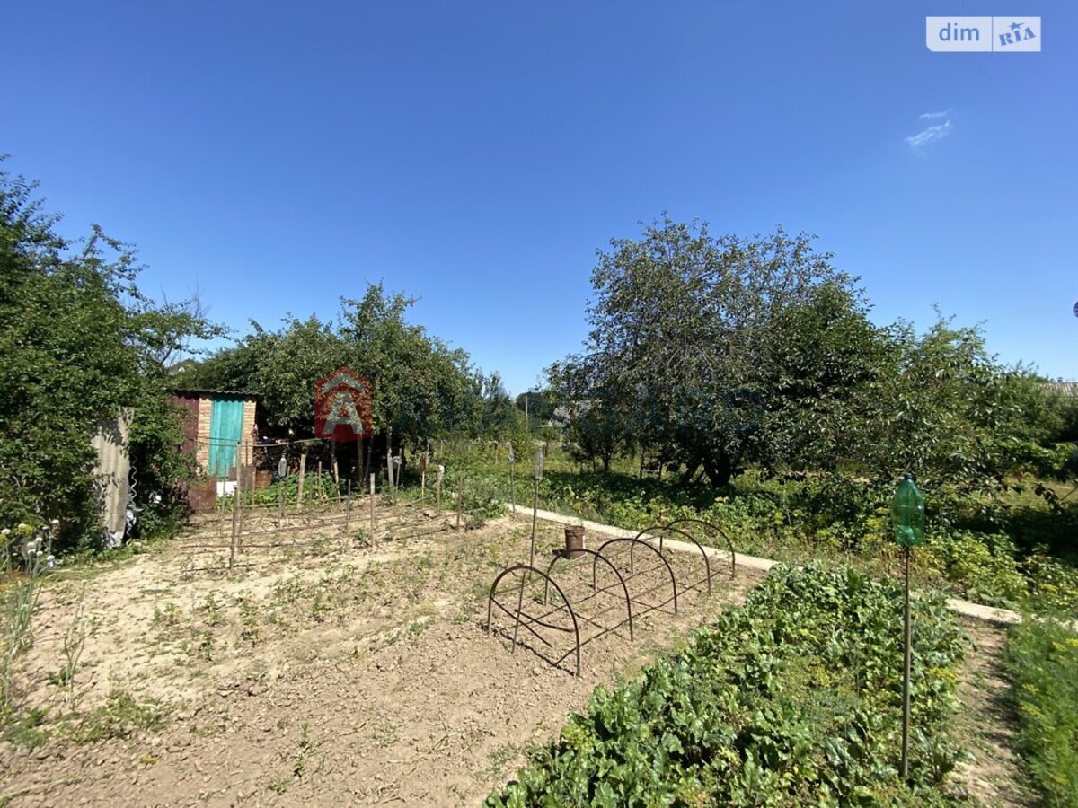 ���, 37 ��.�. ���� 7