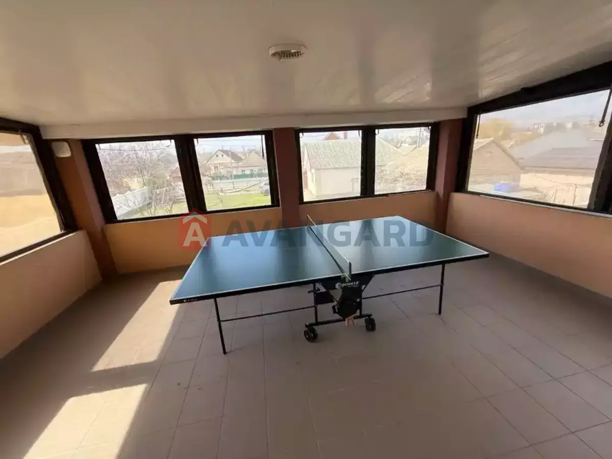 �������, 115 ��.�. ���� 19