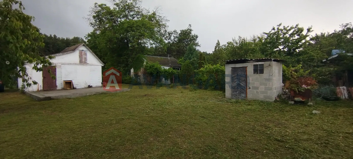 ����, 40 ��.�. ���� 3