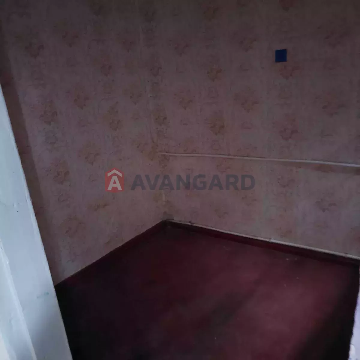 ������� �������, 39 ��.�. ���� 19