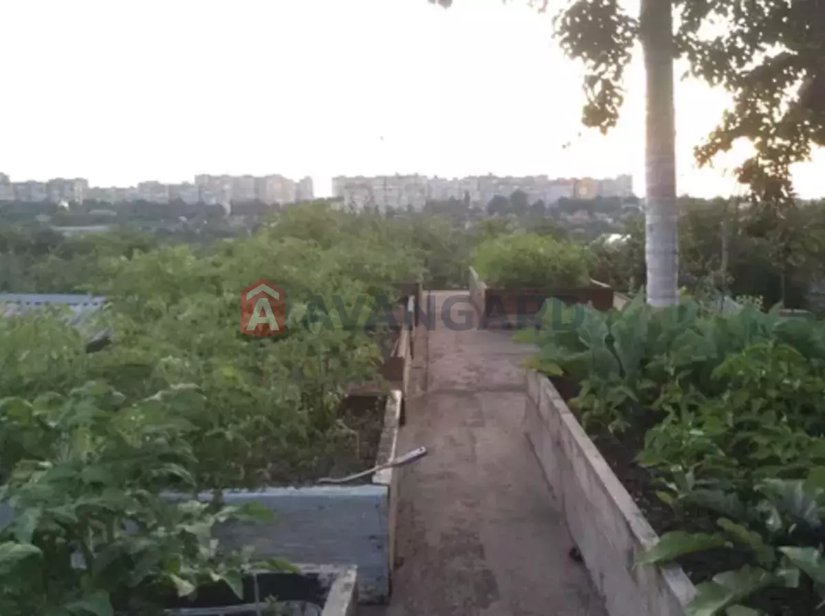 �������, 110 ��.�. ���� 18