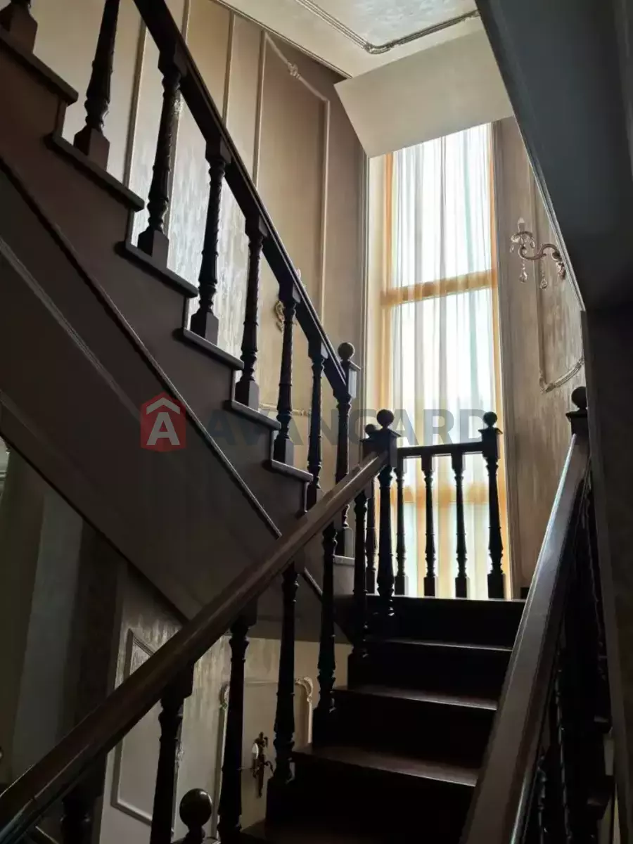 �������, 650 ��.�. ���� 5