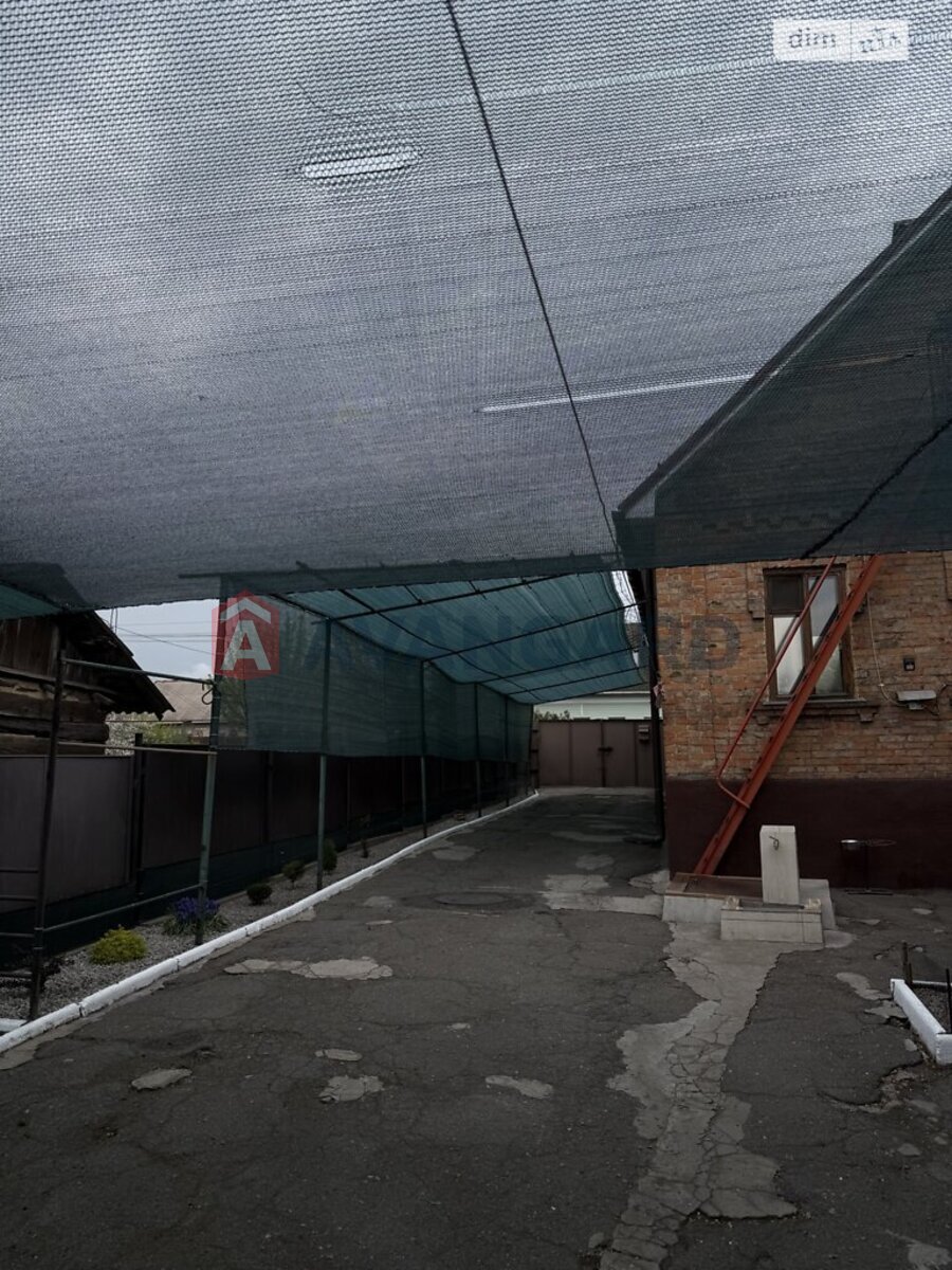 �������, 85 ��.�. ���� 2