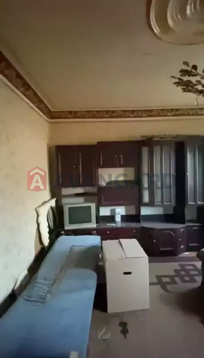 ���, 65 ��.�. ���� 12