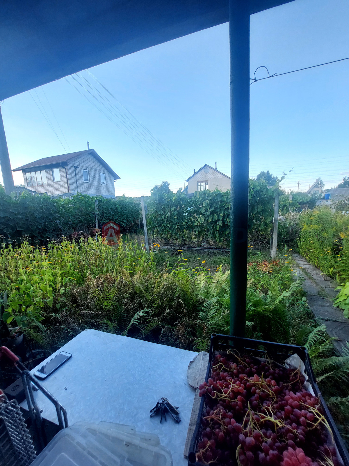 ����, 25 ��.�. ���� 4