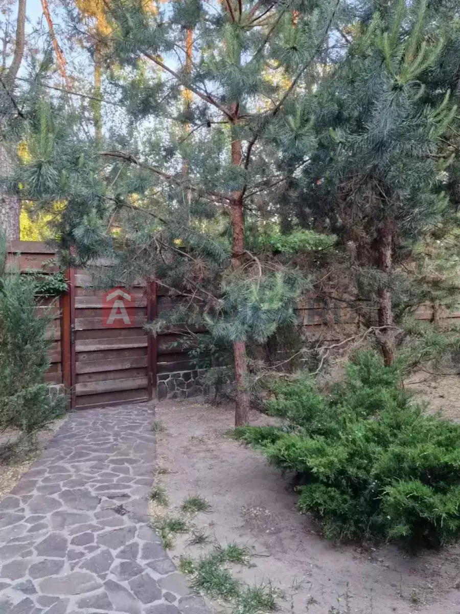 216 ��.�. ���� 14