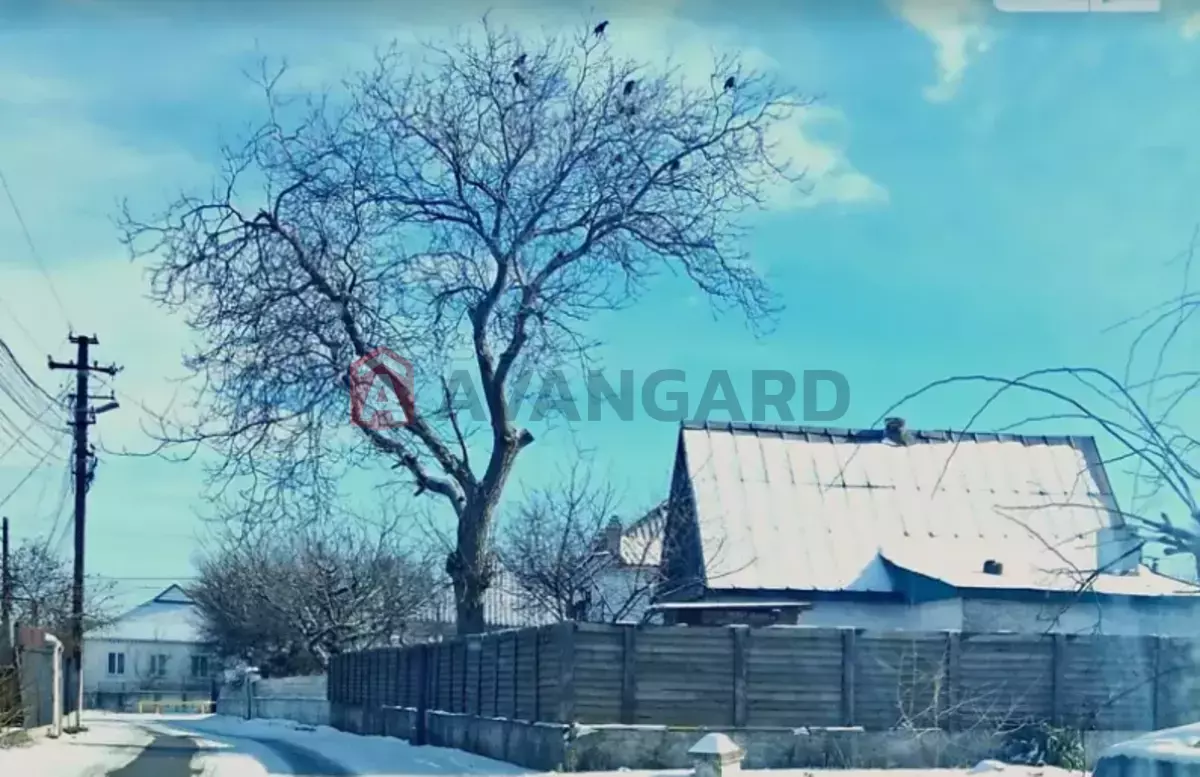 �������, 59 ��.�. ���� 7