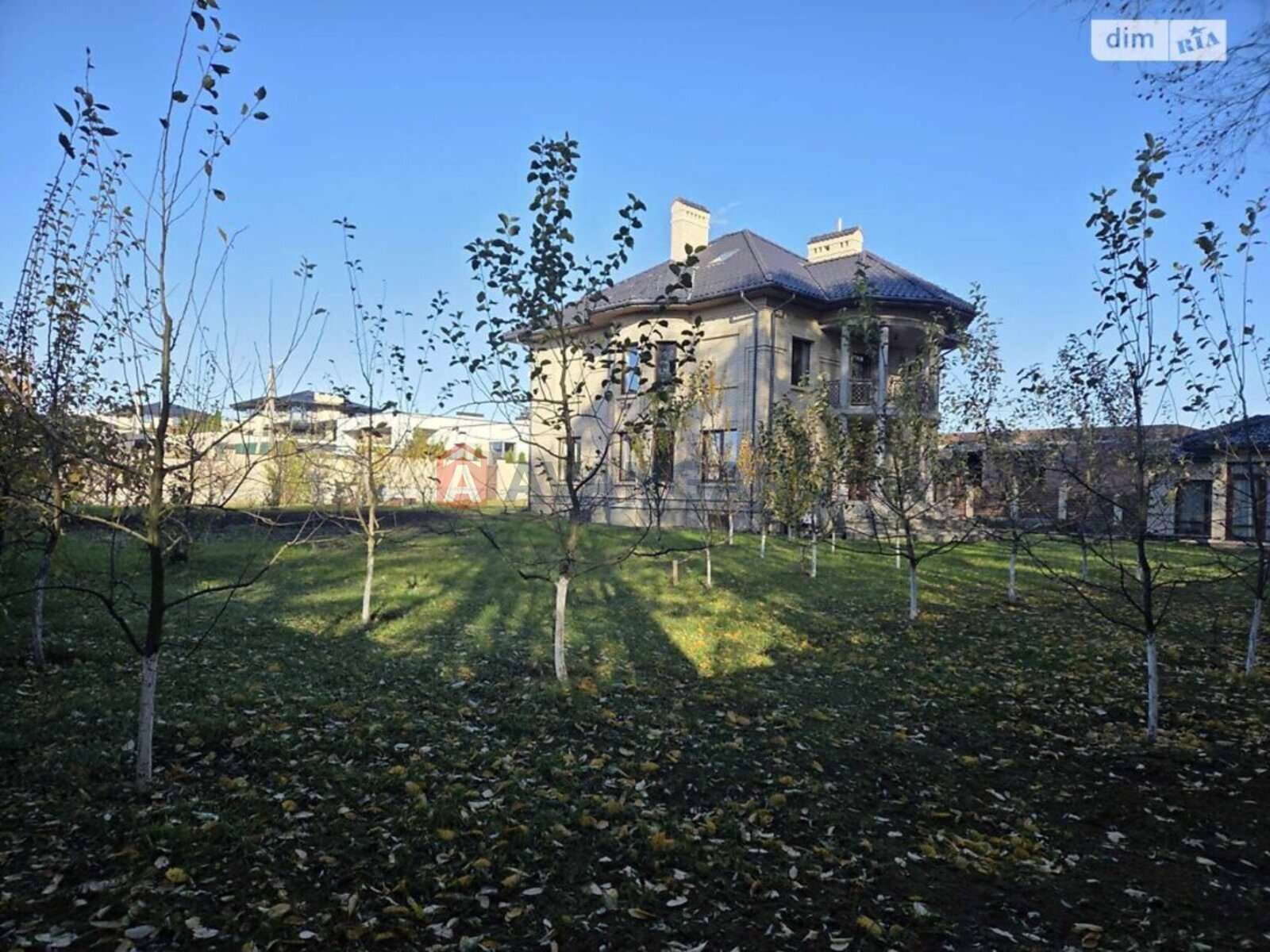 �������, 375 ��.�. ���� 11