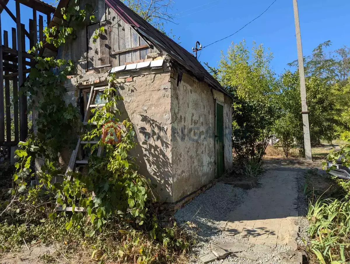 ����, 92 ��.�. ���� 5