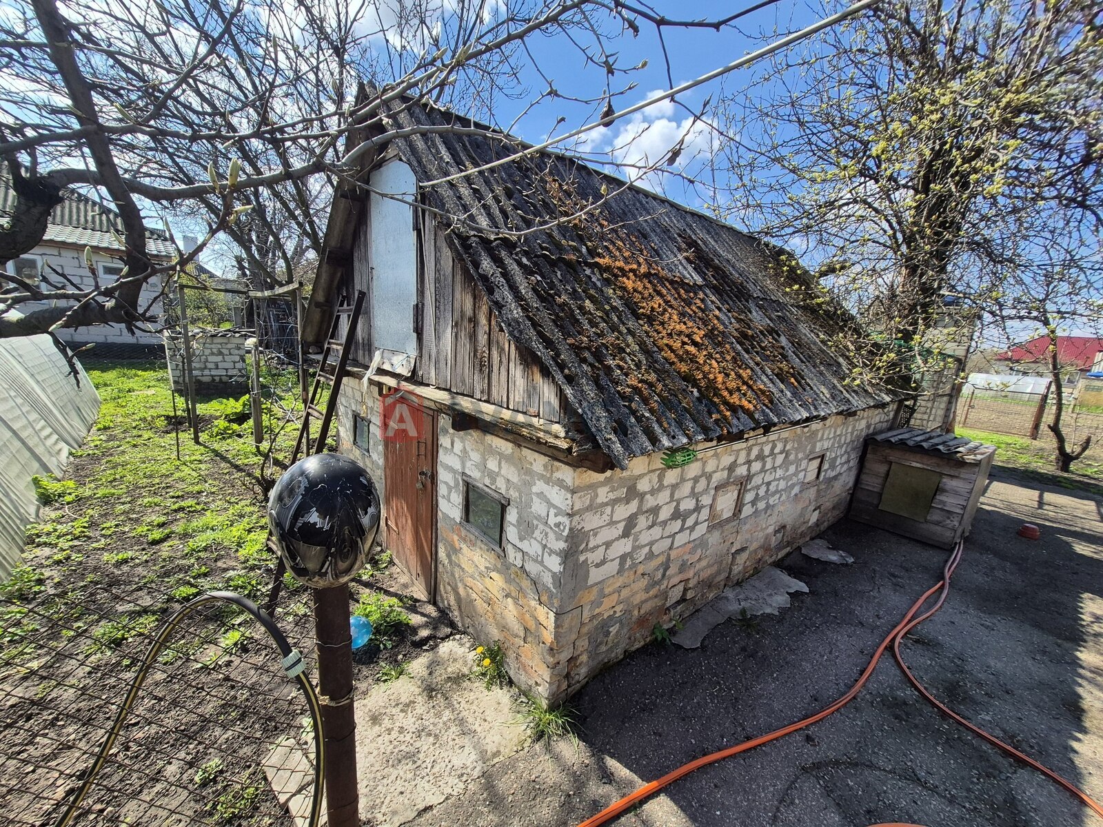 ���, 80 ��.�. ���� 6