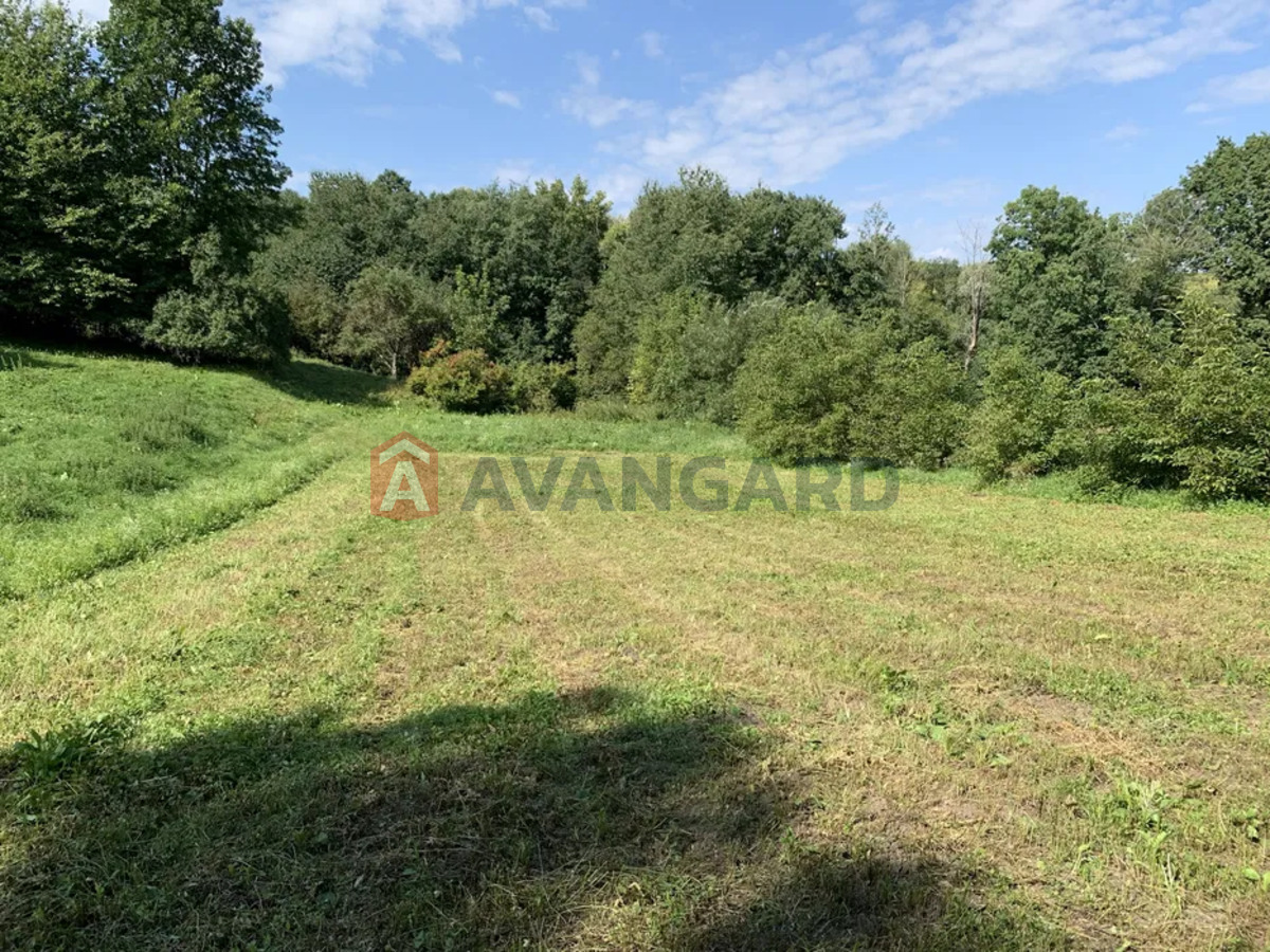 �������, 45 ��.�. ���� 11