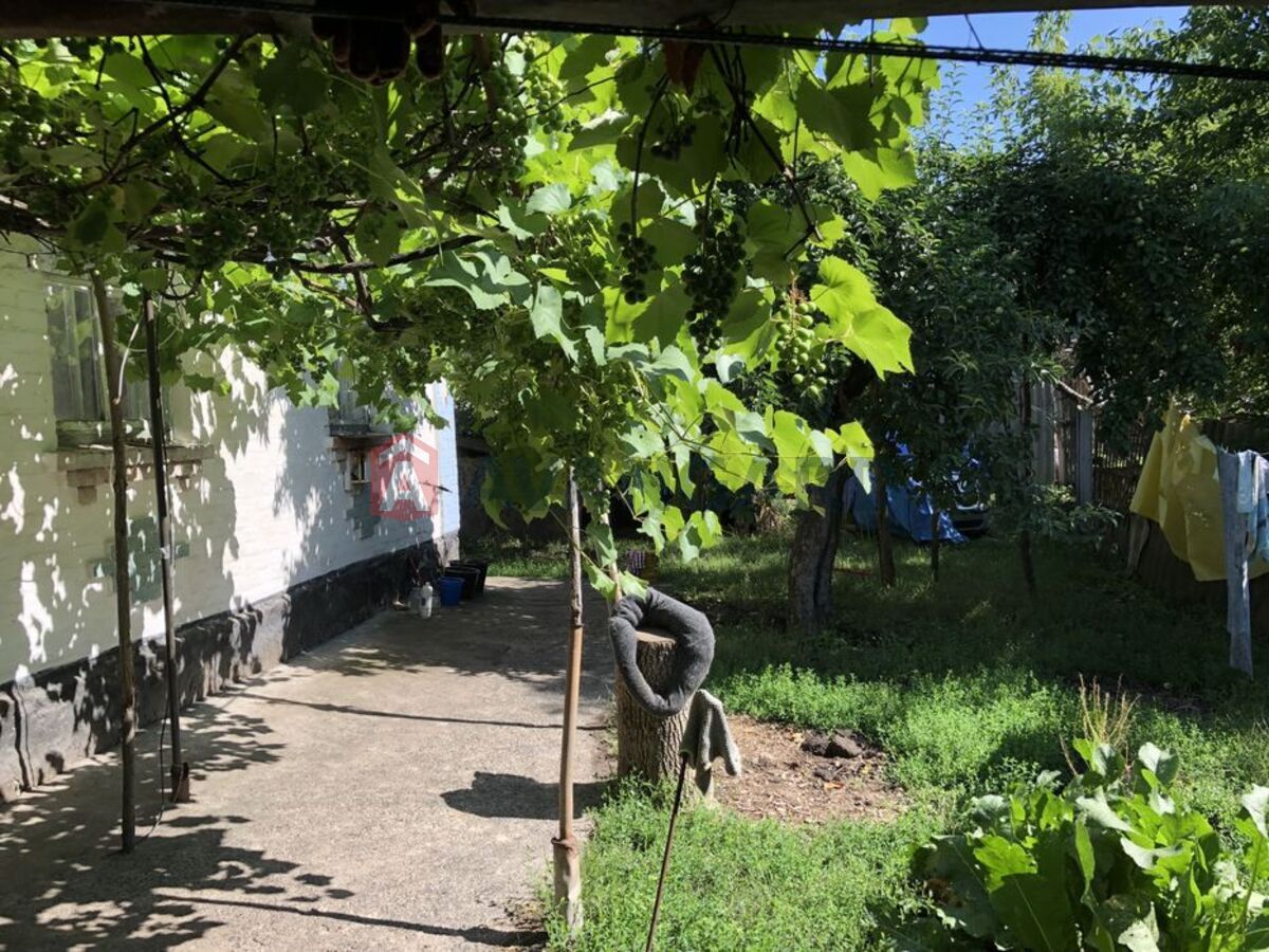 �������, 89 ��.�. ���� 3