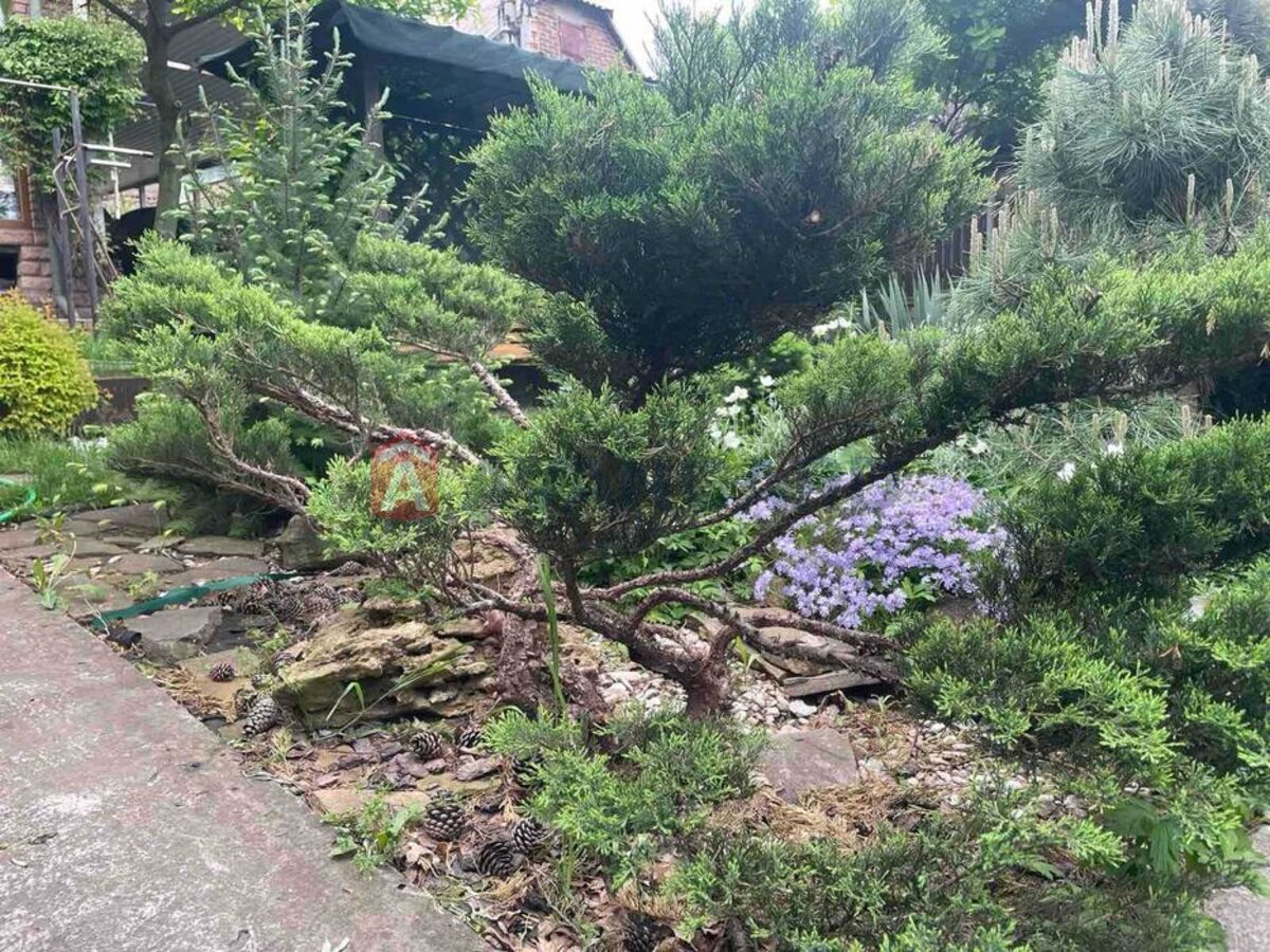 �������, 125 ��.�. ���� 16