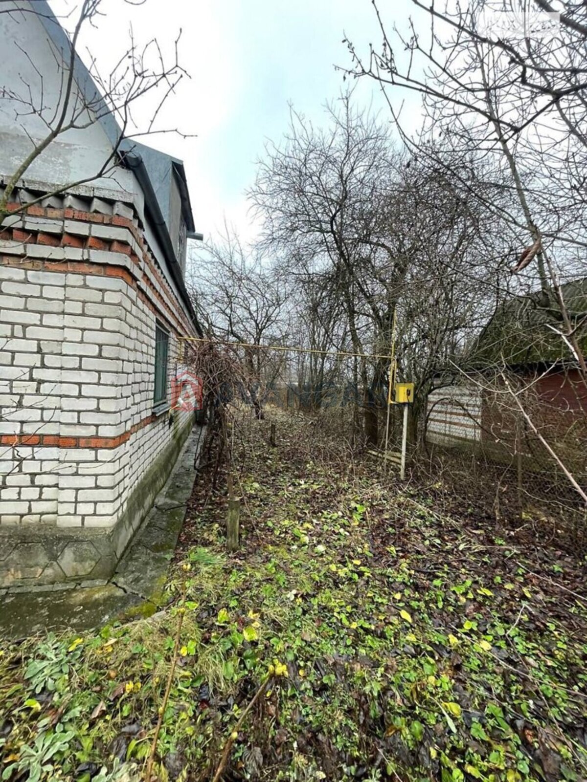 �������, 49 ��.�. ���� 7