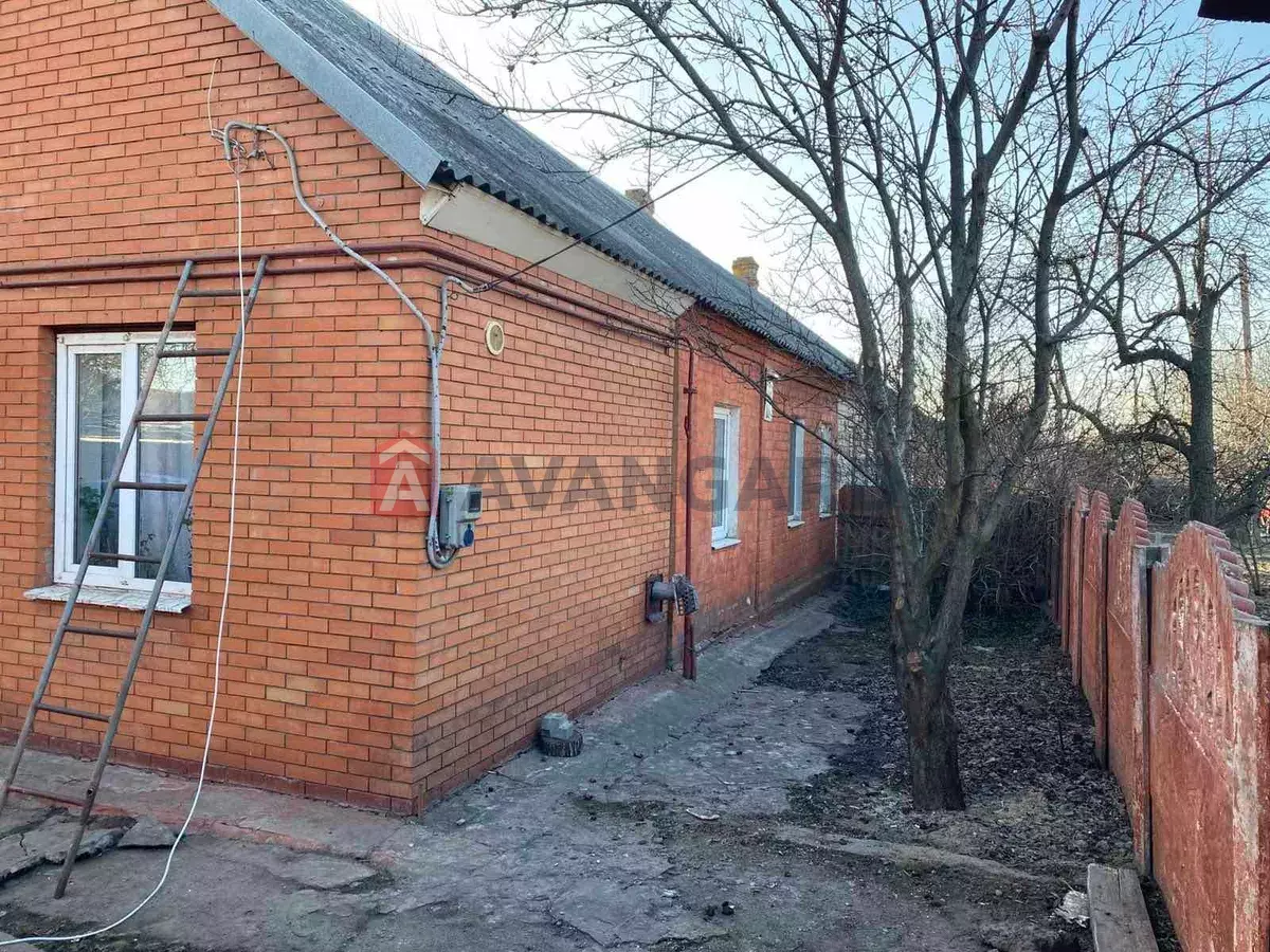 �������, 94 ��.�. ���� 20