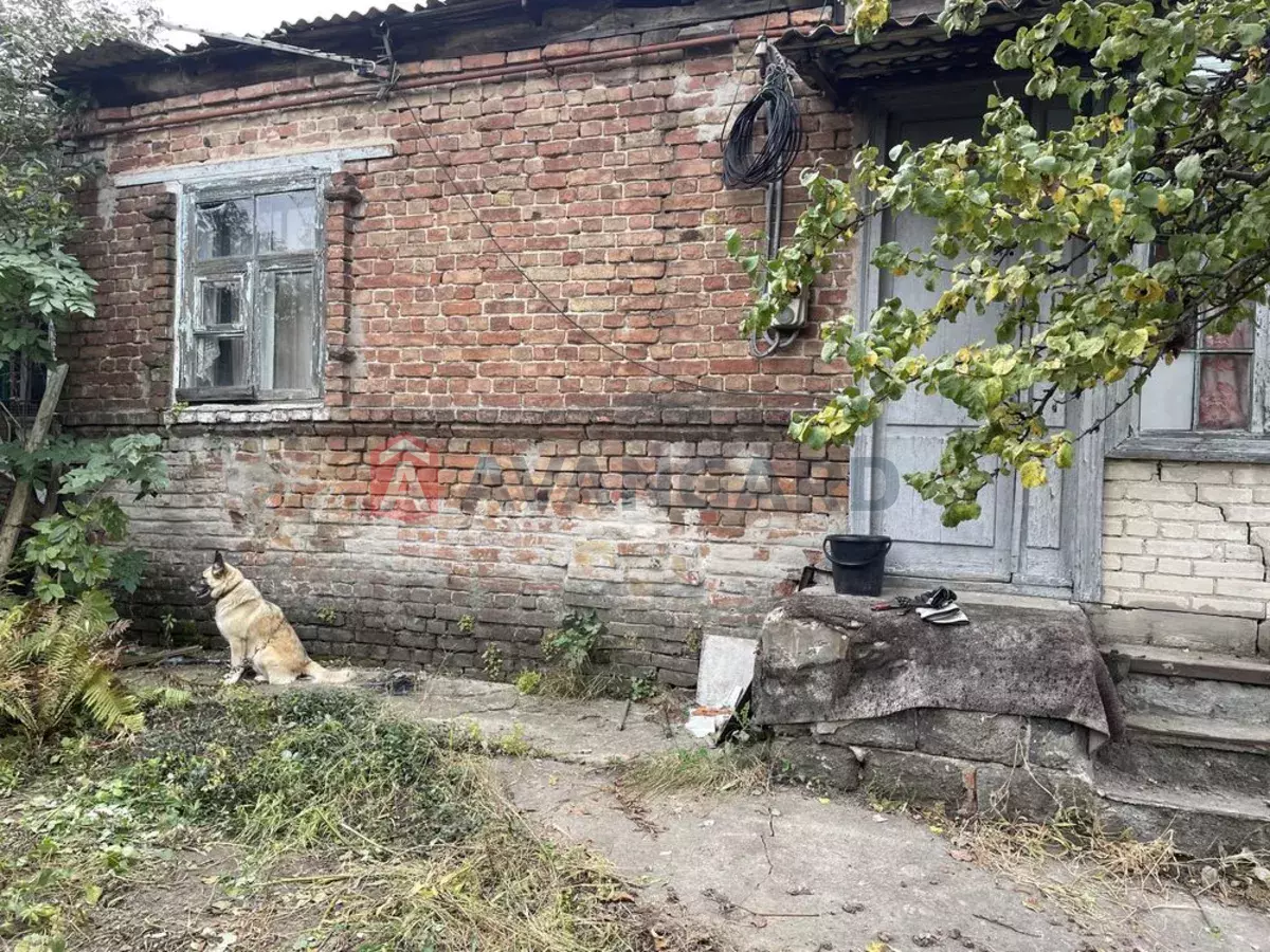 ������� �������, 32 ��.�. ���� 1