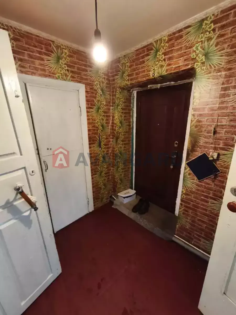 �������, 54 ��.�. ���� 5