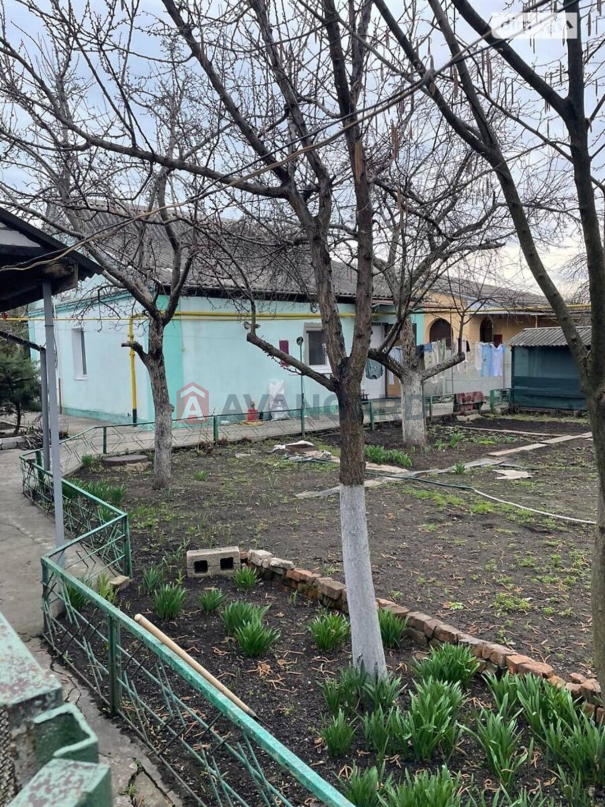 �������, 49 ��.�. ���� 2