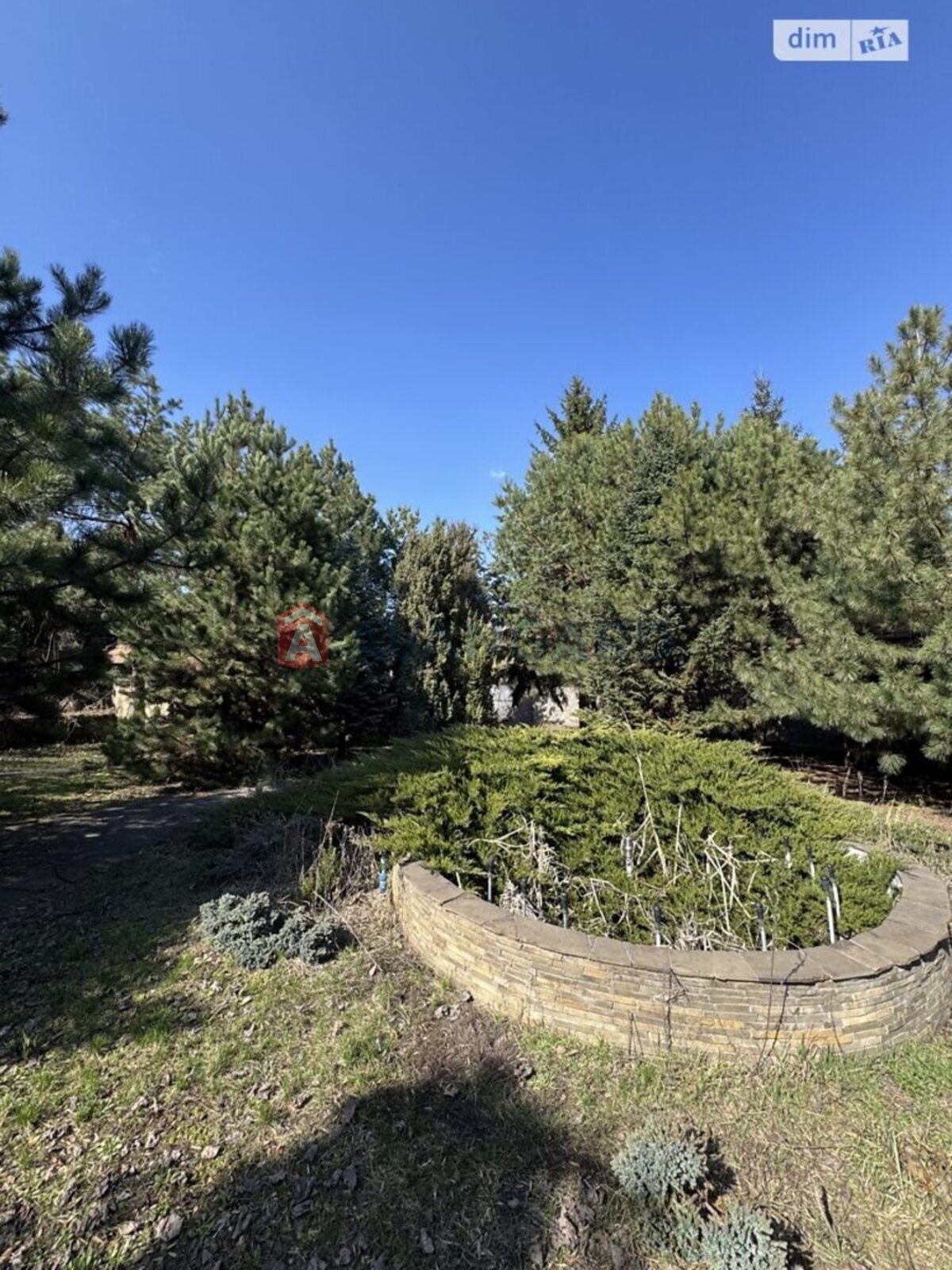 �������, 1000 ��.�. ���� 24