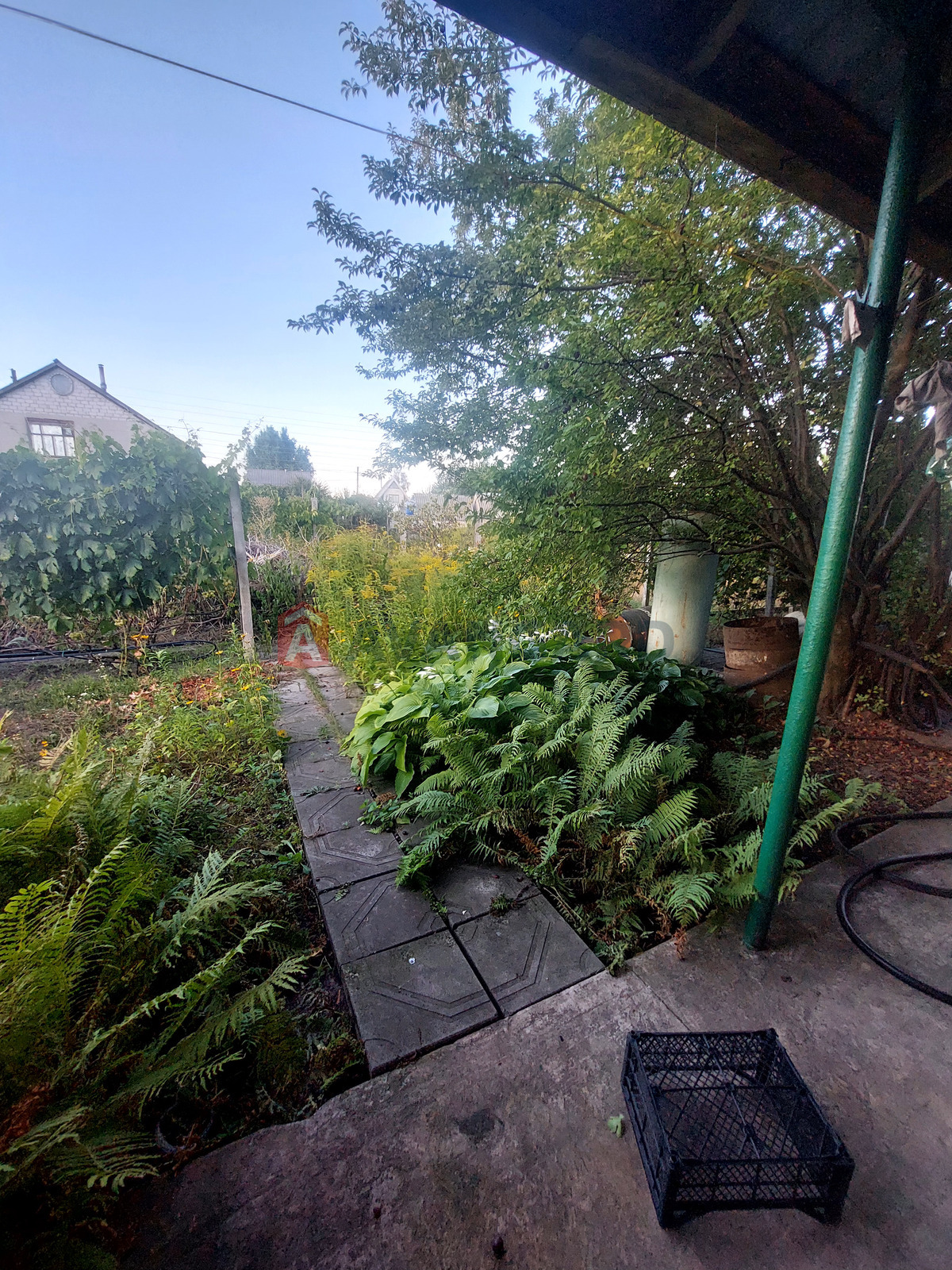 ����, 25 ��.�. ���� 2