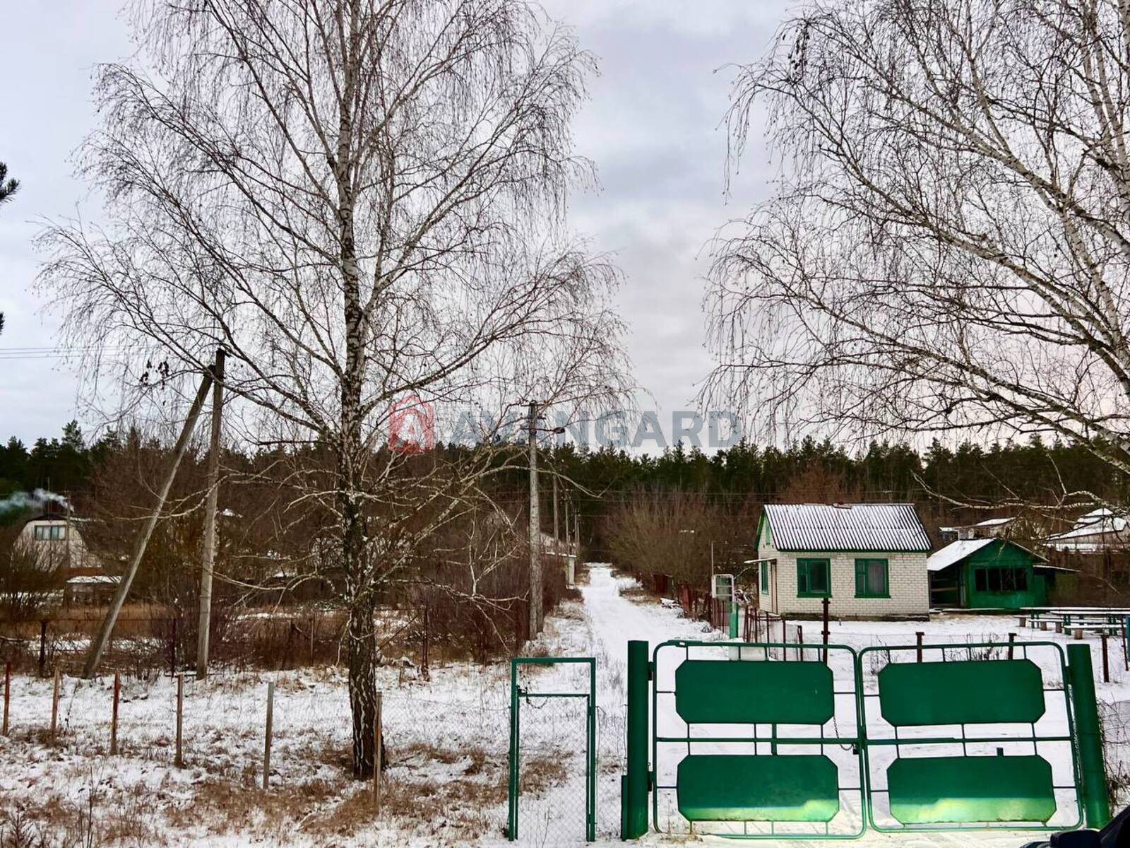 ����, 50 ��.�. ���� 20