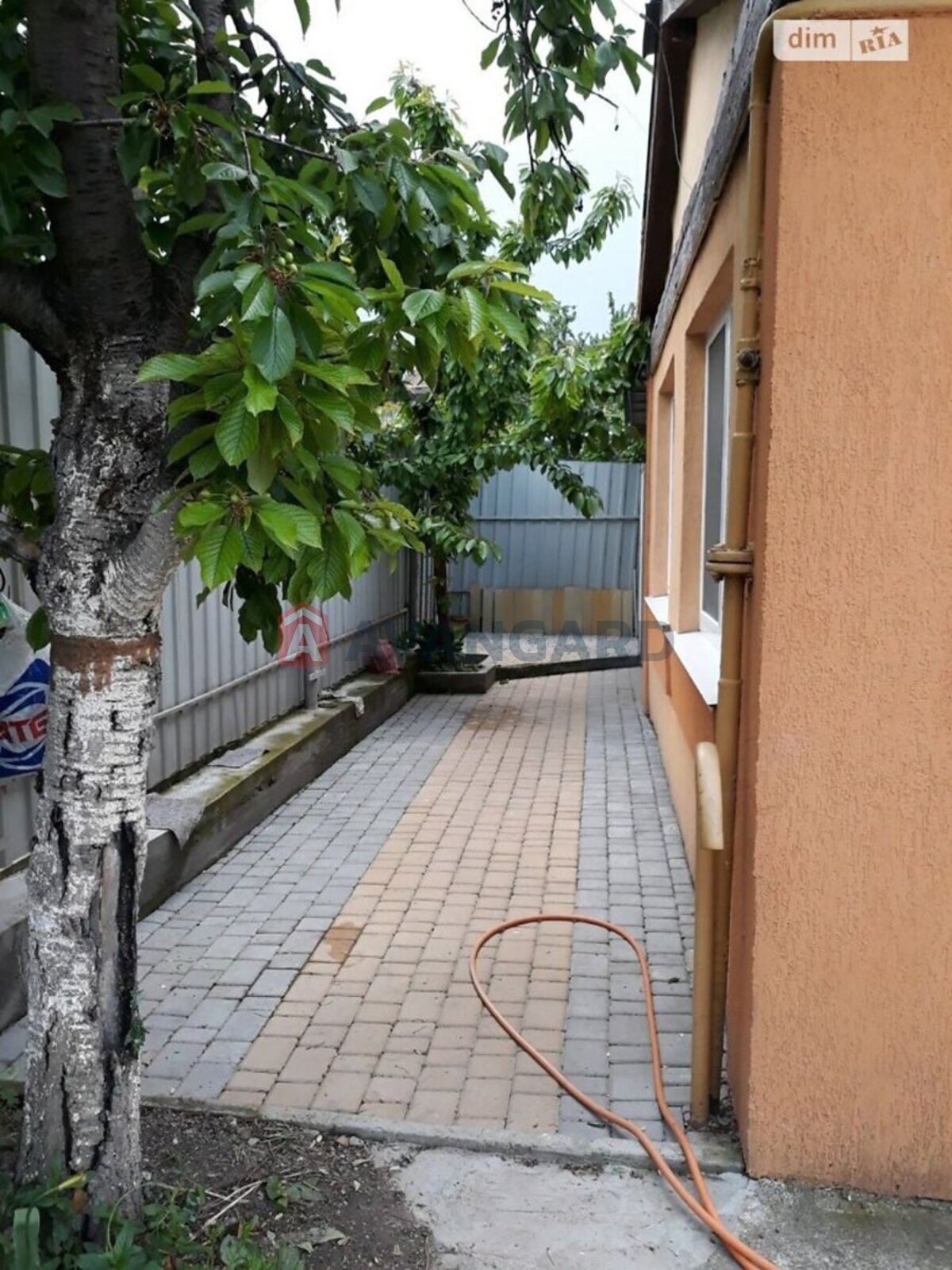 �������, 103 ��.�. ���� 16