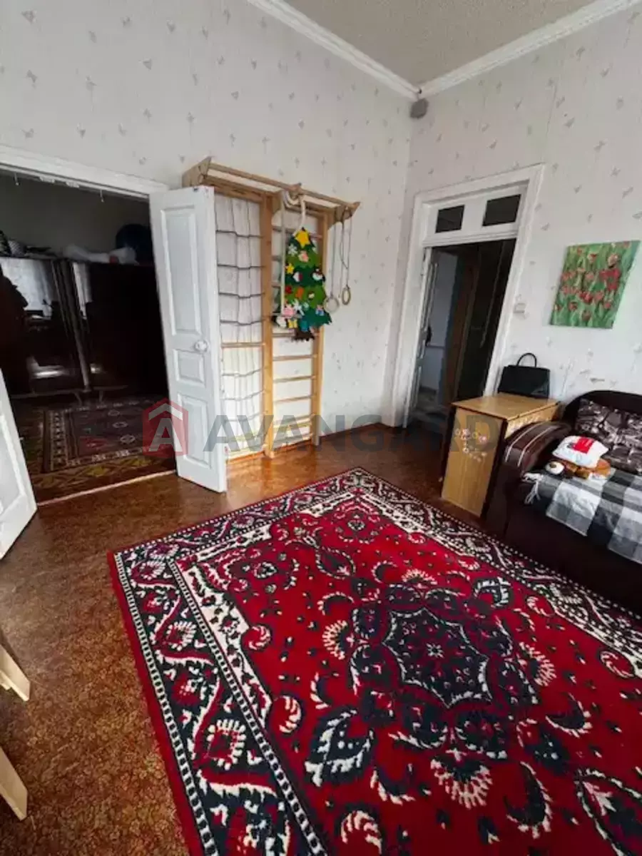 �������, 81 ��.�. ���� 11